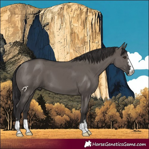 Horse Color:Smoky Grullo 