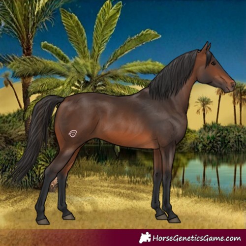 Horse Color:Brown 
