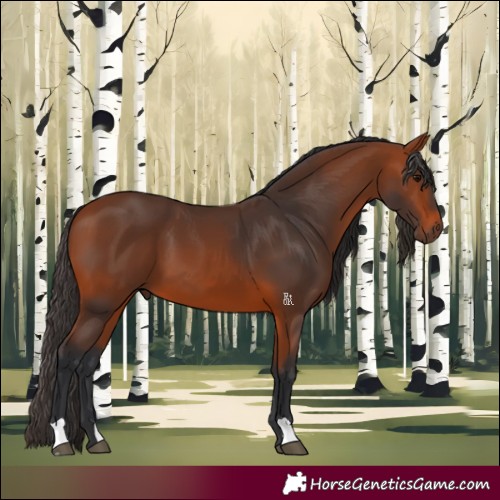 Horse Color:Bay 