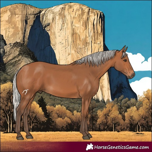 Horse Color:Silver Bay 