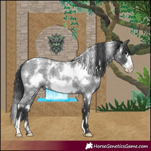 Horse Color:White Spotted Blue Roan Frame 