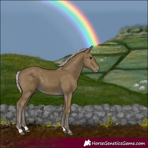 Horse Color:Silver Smoky Black 