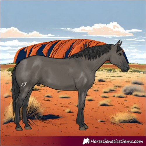 Horse Color:Grullo 