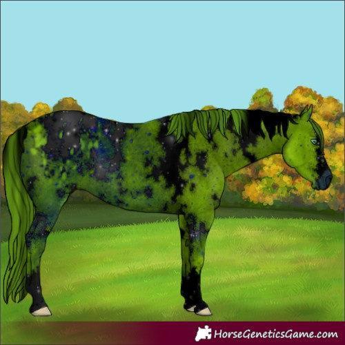 Horse Color:ERROR: UNKNOWN ANOMALY