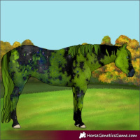Horse Color:ERROR: UNKNOWN ANOMALY