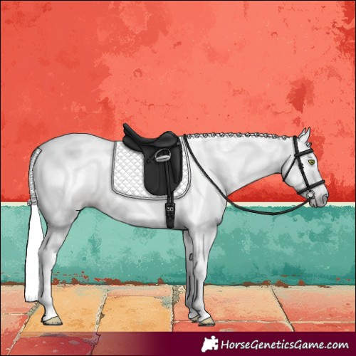 Horse Color:Gray Gold Champagne 