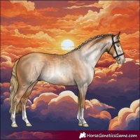 Horse Color:Gray Gold Champagne