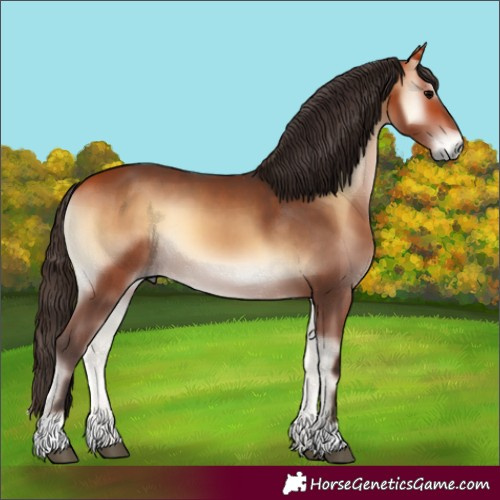 Horse Color:Bay Onyx 