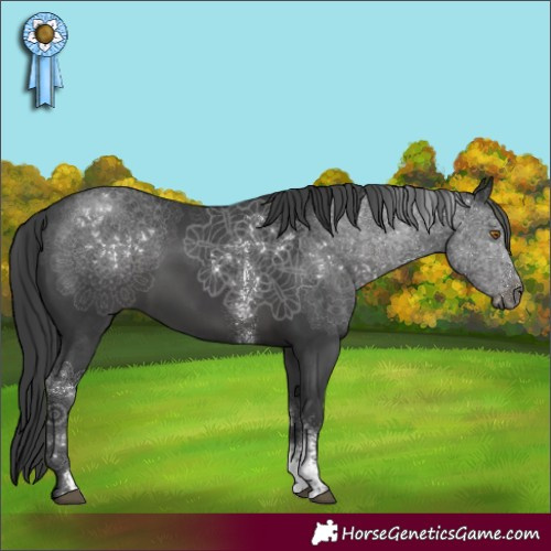 Horse Color:Black Sabino Rabicano 