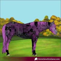 Horse Color:ERROR: UNKNOWN ANOMALY