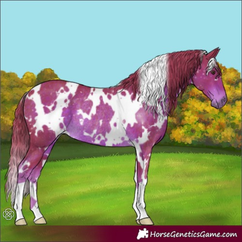 Horse Color:Watercolor White Spotted Liver Chestnut Rabicano 