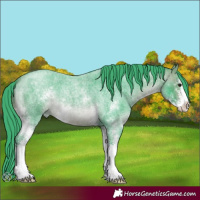 Horse Color:Watercolor Brown Roan Mushroom Sabino 