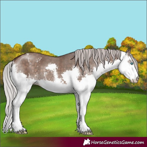 Horse Color:Silver Brown Dun Sabino Splash 