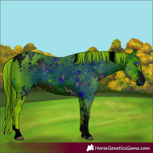 Horse Color:ERROR: UNKNOWN ANOMALY