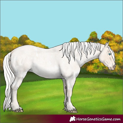 Horse Color:White Spotted Silver Smoky Creme Roan
