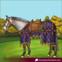 Horse Color:Gray Amber Champagne