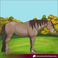 Horse Color:Classic Champagne