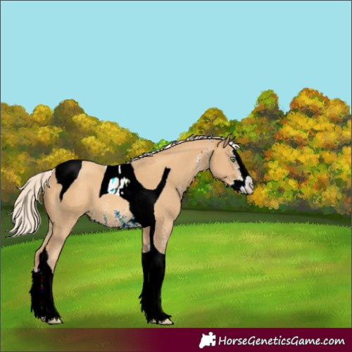 Horse Color:ERROR: UNKNOWN ANOMALY