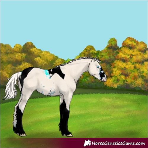 Horse Color:Cremello Sabino Tobiano