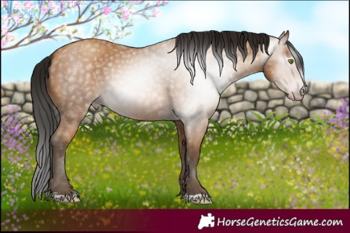 Horse Color:Gray Amber Champagne 