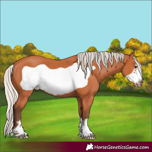 Horse Color:Silver Bay Frame