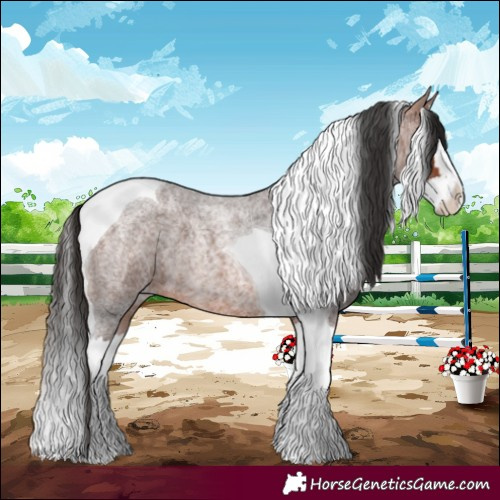 Horse Color:Bay Roan Splash Tobiano