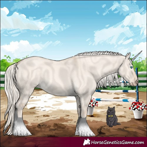 Horse Color:Cremello Dun