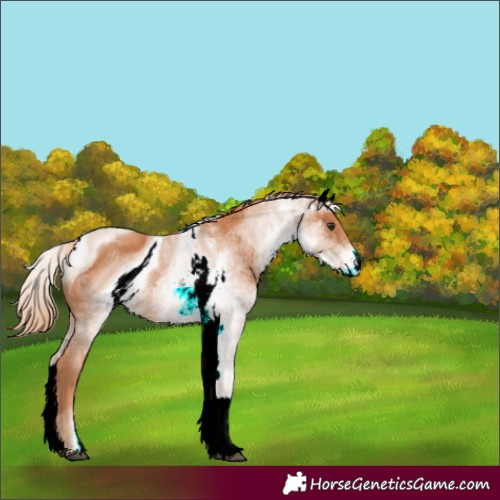Horse Color:ERROR: UNKNOWN ANOMALY