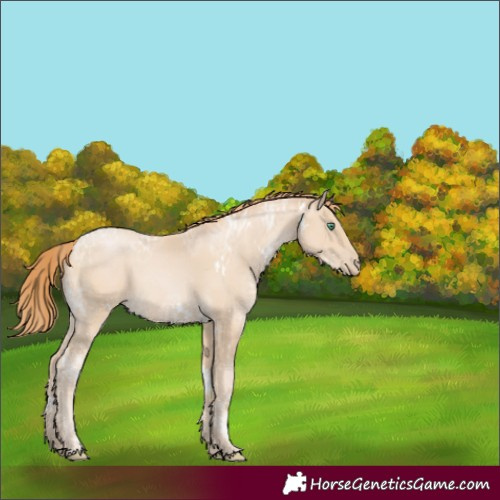 Horse Color:White Spotted Smoky Black Ice Pearl