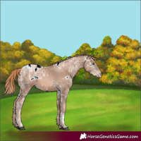 Horse Color:White Spotted Liver Chestnut Ice Pearl 