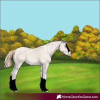 Horse Color:Smoky Creme Ice Splash 
