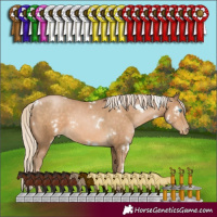 Horse Color:White Spotted Chocolate Palomino Pearl