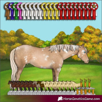 Horse Color:White Spotted Chocolate Palomino Pearl 