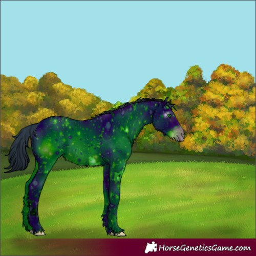 Horse Color:ERROR: UNKNOWN ANOMALY