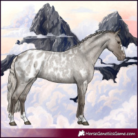 Horse Color:Silver Grullo Roan Appaloosa Rabicano 
