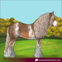 Horse Color:White Spotted Chocolate Palomino