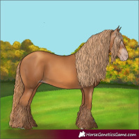 Horse Color:Gray Gold Champagne