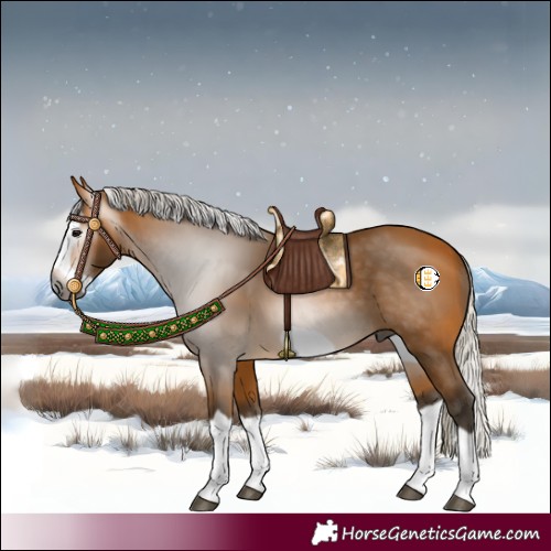 Horse Color:Gray Silver Buckskin Splash Frame 