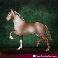 Horse Color:Gray Chestnut Tobiano Rabicano 