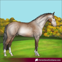 Horse Color:Gray Amber Champagne 