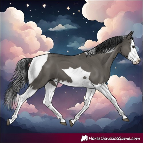 Horse Color:Grullo Splash Tobiano 