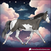 Horse Color:Grullo Splash Tobiano 
