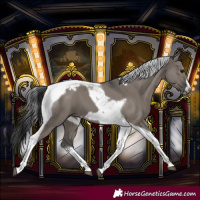 Horse Color:Grullo Splash Tobiano Frame