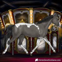 Horse Color:Grullo Splash Tobiano 