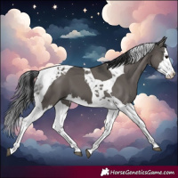 Horse Color:Grullo Splash Tobiano 