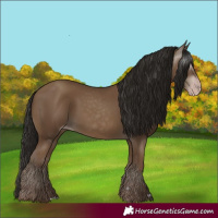 Horse Color:Gray Classic Champagne 