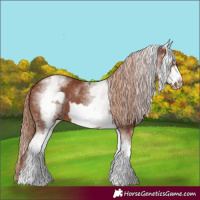 Horse Color:White Spotted Chestnut Frame