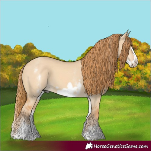 Horse Color:White Spotted Red Dun Frame