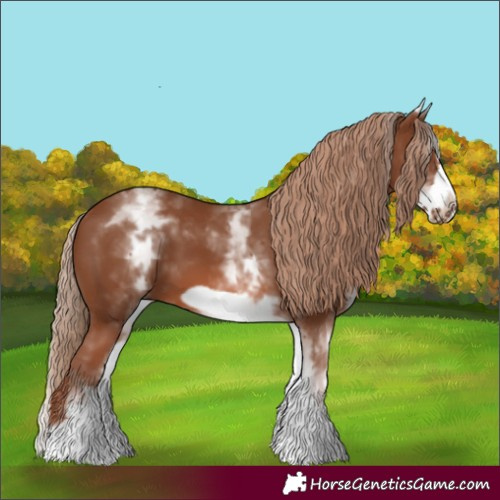 Horse Color:White Spotted Chestnut Frame 
