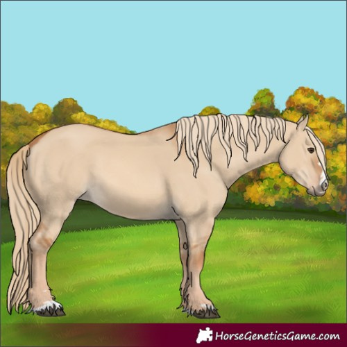 Horse Color:Red Dun 
